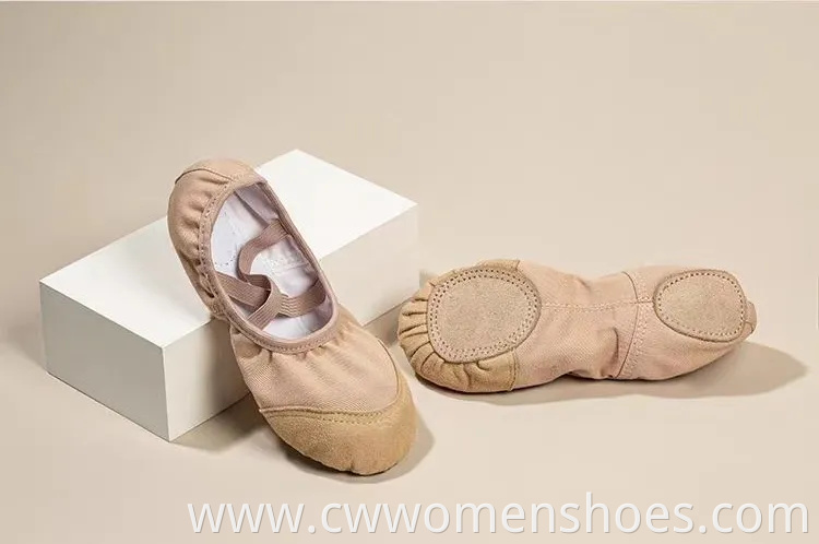 Brown Sheep Tips Ballet Shoes Soft Split Sole Dancing Canvas Ballerina Slippers